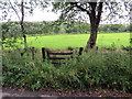 Llwybr yn gadael heol / Path exits a road