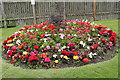 Public Garden, Newton Stewart