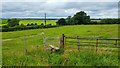 Public footpath near Hopton, Staffordshire