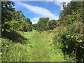 Track to Montquey Quarry