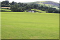 Field below Ty Mawr