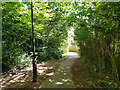 Halfsmock Stream footpath