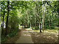 Halfsmock Stream footpath