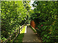 Halfsmock Stream footpath