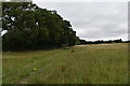 Pasture on the edge of Wargrave