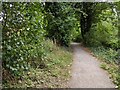 Darent Valley Path