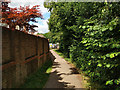 Footpath 99W along Stanford Brook