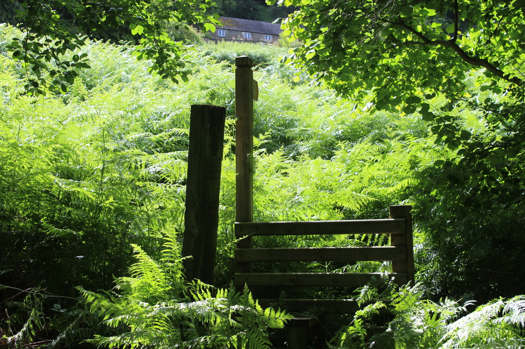 Stile to path to farm © M J Roscoe cc-by-sa/2.0 :: Geograph Britain and
