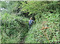 Overgrown path, near Upton Warren Nature Reserve