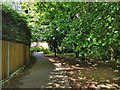 Footpath 102_1W along Stanford Brook