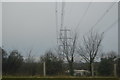 Pylon seen from B3159