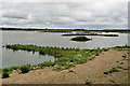 SD4214 : Martin Mere Wetlands Centre - The Mere by David Dixon