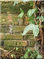 Ordnance Survey Bench Mark