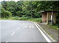 Bus shelter and turnround at East Hedleyhope