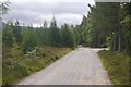 Road up Glen Feshie