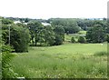 Meadow near Waterhouses