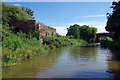 Oxford Canal, near Shipton-on-Cherwell