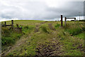 Muddy tracks to a field, Tanderagee