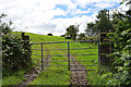 A bent gate, Tanderagee