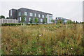 Office blocks in Oxford Business Park