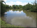 Pond, Silverlink Biodiversity Park, Shiremoor