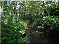 The River Don downstream from the Leapings Lane footbridge, Thurlstone