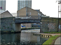 TQ3683 : Three Colts Bridge, Hertford Union Canal by Robin Webster