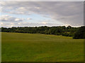 TQ5494 : Field near Wrightsbridge Farm, South Weald by Roger Jones