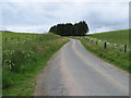 Fence-lined minor road near to Upper Towie