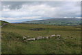 SE0066 : On the Footpath between Bare House and Grassington by Chris Heaton