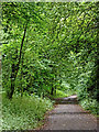 South Staffordshire Railway Walk at Castlecroft in Wolverhampton