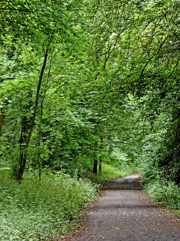 South Staffordshire Railway Walk at... © Roger Kidd cc-by-sa/2.0 ...