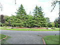 Rondpoint with trees in Lawnswood cemetery