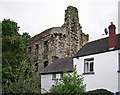 S7043 : Castles of Leinster: Tinnahinch, Carlow (2) by Garry Dickinson