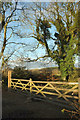 Gates near Lewdons Farm