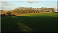 Field near Blackingstone Farm