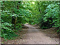 Smestow Valley Nature Reserve at Castlecroft, Wolverhampton