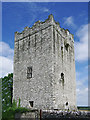 S3562 : Castles of Leinster: Tubbrid, Kilkenny (2) by Garry Dickinson