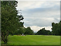 Evening golfer at Howley Park 