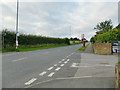 Bus stops on Scotchman Lane