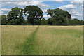 Aylesbury Ring going down to the stream