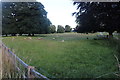 Field of sheep at Bodney Hall Farm