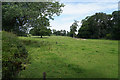 Looking towards Calke Abbey