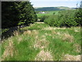 Lambdoughty Forest towards Traboyack