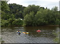 Canoeists on the River Severn