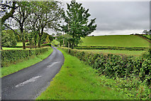 H4170 : A sweeping bend along Tamlaght Road by Kenneth  Allen