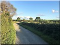 Track and Bridleway near Benthall Farm