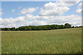 Open country west of Woodgate Farm, Stedham