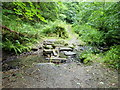 Path over the stream in Rhyd-y-Gaseg woodland