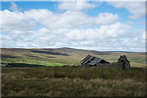 NY8645 : Ruined building on moorland above Allenheads by Trevor Littlewood